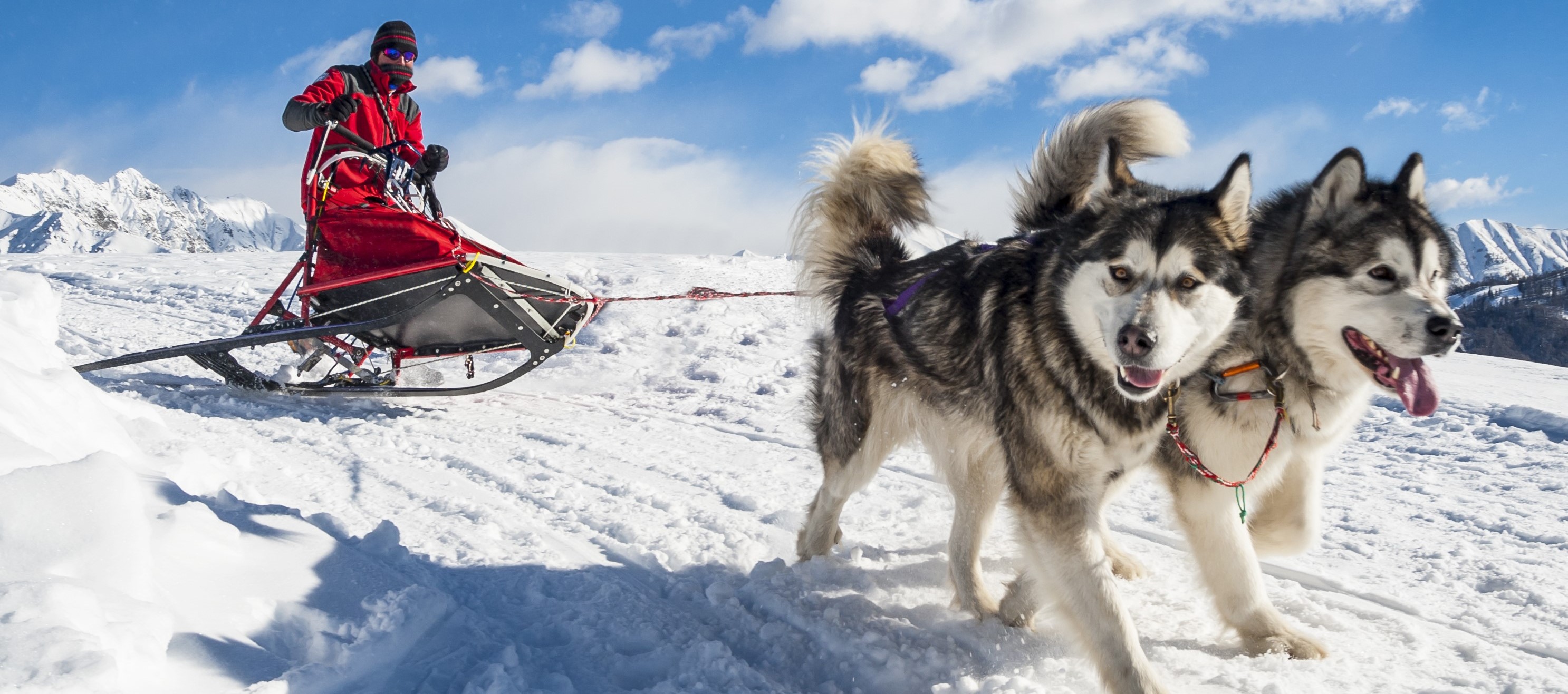 Arctic Reverence